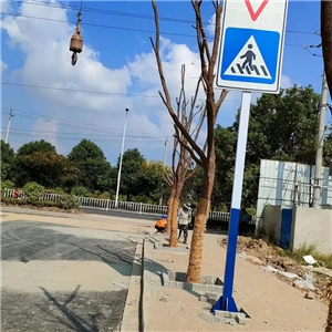 芜湖长江大桥规划支二路道路交通设施工程