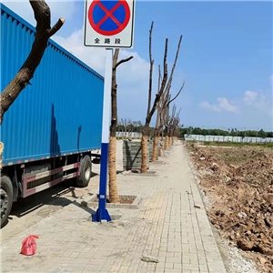 芜湖长江大桥规划支二路道路交通设施工程