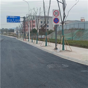 繁昌区站前路(S334-富鑫路)交通工程