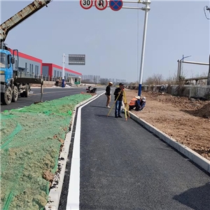 芜湖市孙滩东路建设工程交通设施工程