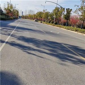 芜湖万科江东府代建道路标识标牌工程