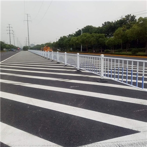 芜湖县阳光大道、工业大道交通设施