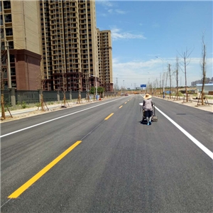 荆山安置区外环道路交通设施工程